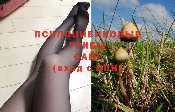 ПСИЛОЦИБИНОВЫЕ ГРИБЫ Вязники