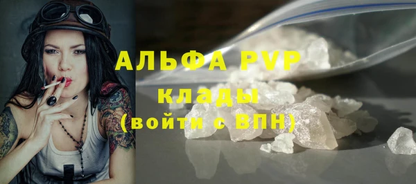 ПСИЛОЦИБИНОВЫЕ ГРИБЫ Вязники