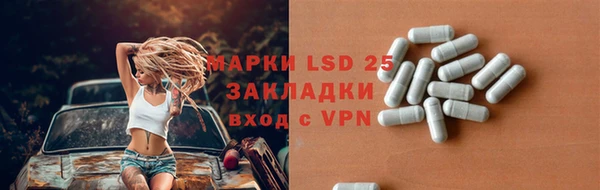 ПСИЛОЦИБИНОВЫЕ ГРИБЫ Вязники
