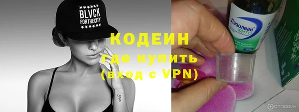 ПСИЛОЦИБИНОВЫЕ ГРИБЫ Вязники