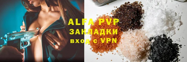 ПСИЛОЦИБИНОВЫЕ ГРИБЫ Вязники